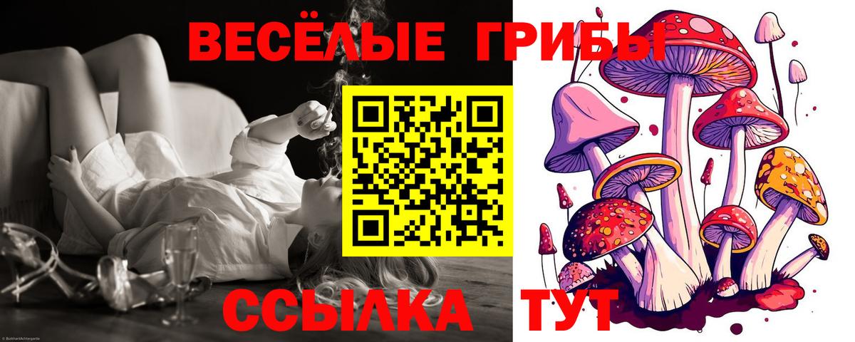 цена   Вход с VPN  Удомля  Псилоцибиновые грибы прущие грибы 