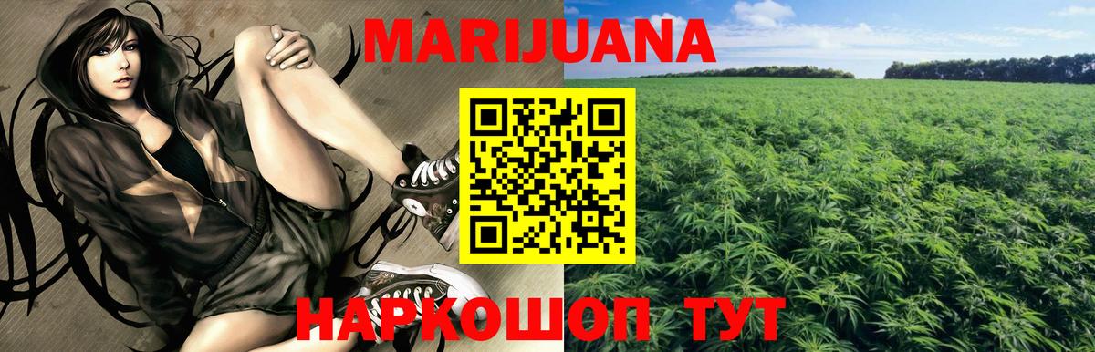 Бошки марихуана ГИДРОПОН  МАРИХУАНА White Widow  Удомля  Вход с VPN  Канабис тримм 
